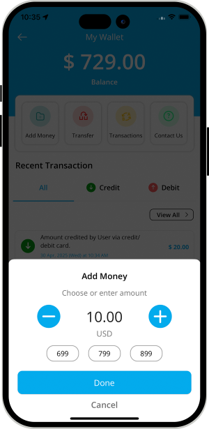 user and provider manage their wallet