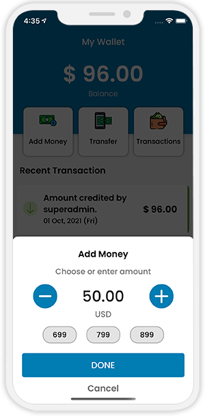 user and provider manage their wallet