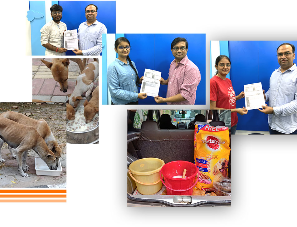 Provide Nutritious to NGO Dogs