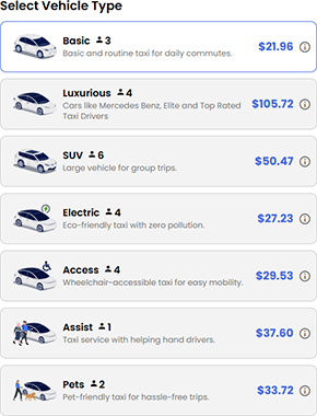 Web-based Taxi Booking
