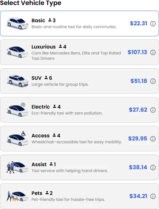 Web-based Taxi Booking
