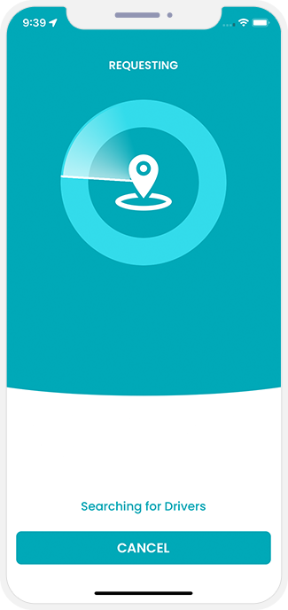 sending request to provider