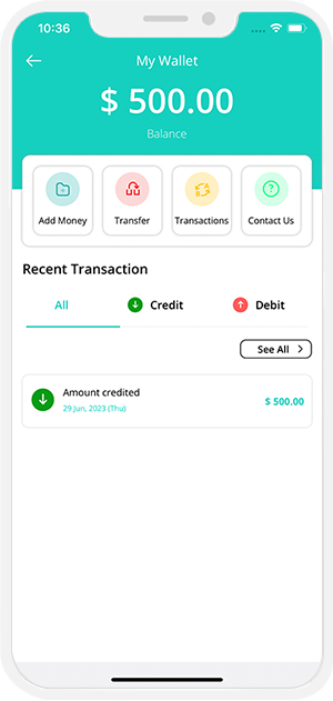 user and provider manage their wallet