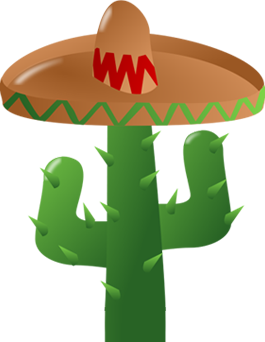 INTEGRACIÓN DE LA PASARELA DE PAGO MEXICANA