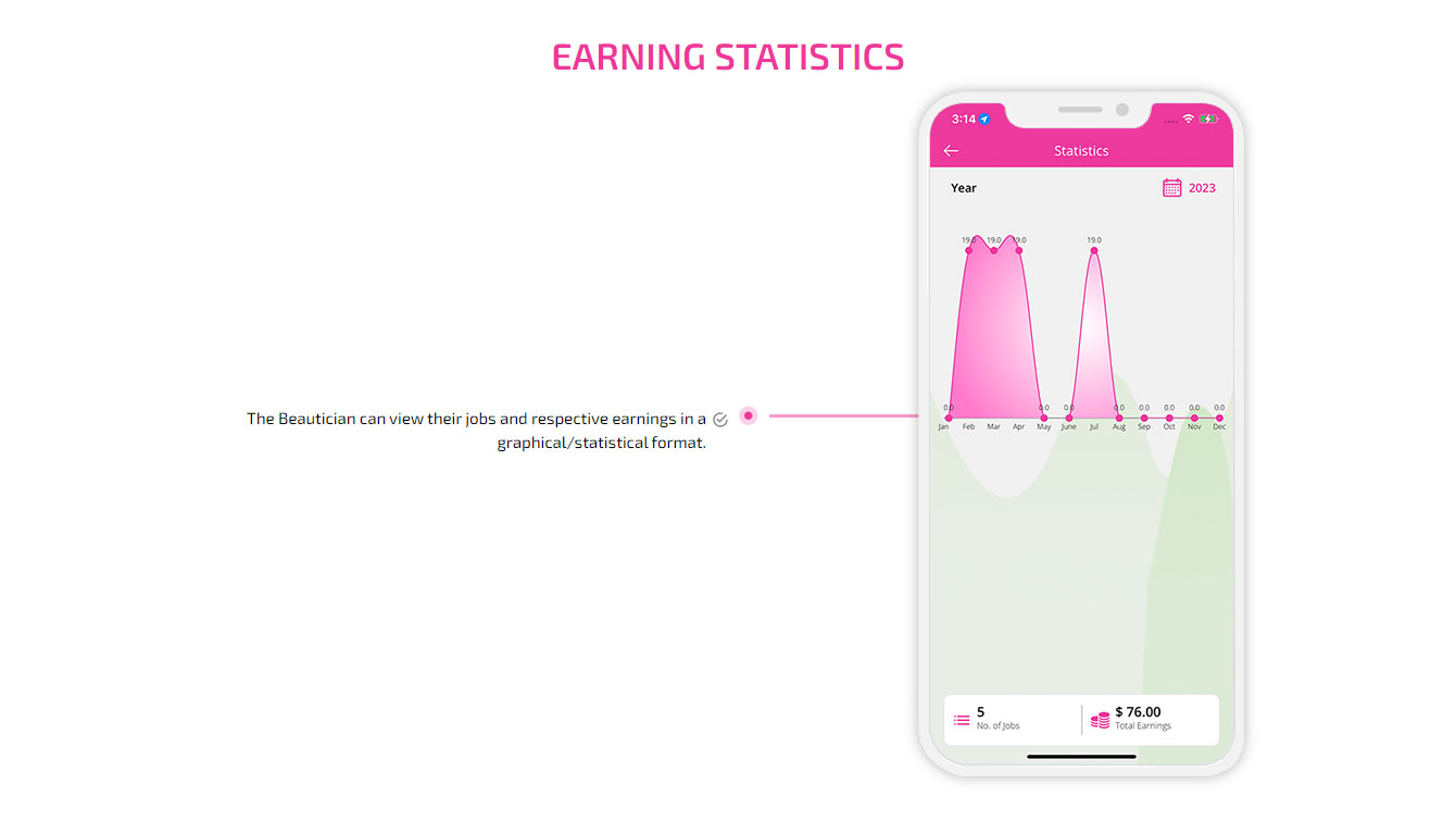 Earning Statistics