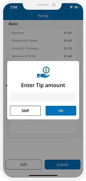 enter tip amount