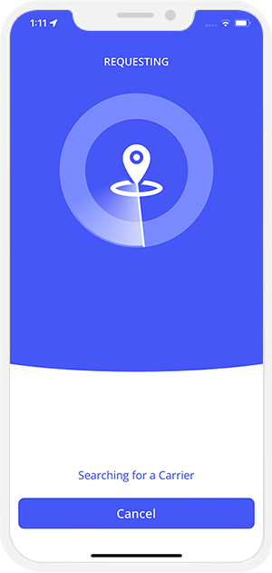 sending request to provider