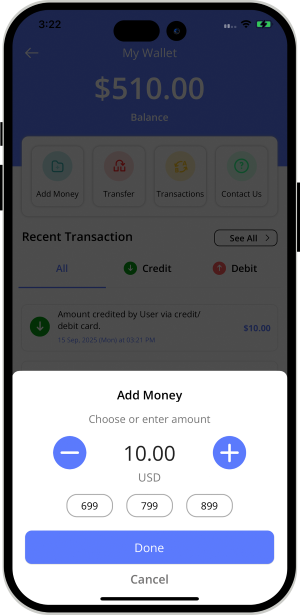user and provider manage their wallet