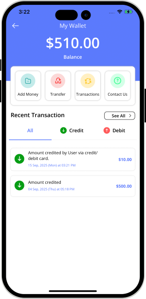 user and provider manage their wallet