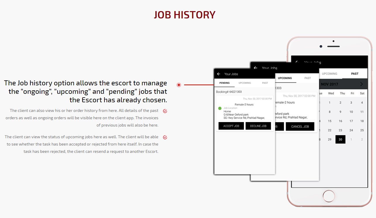 job history