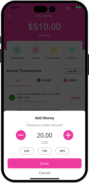 user and provider manage their wallet