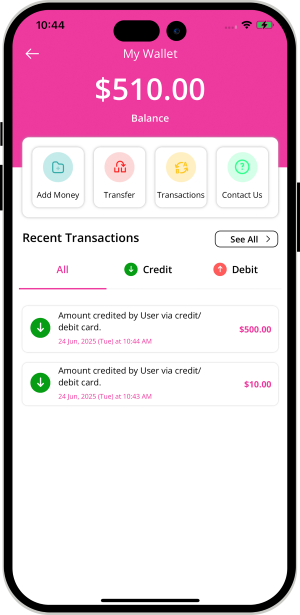 user and provider manage their wallet