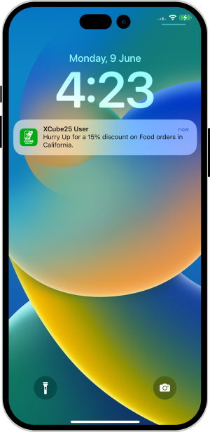 send push notification