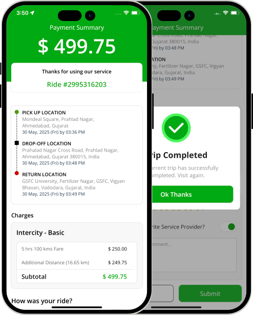 invoice summary