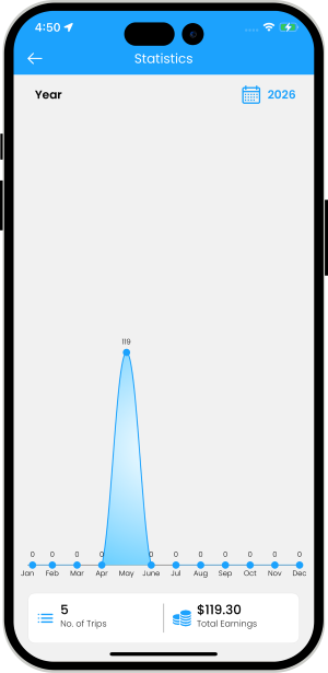 trip and earning statistics