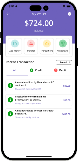 user and provider manage their wallet