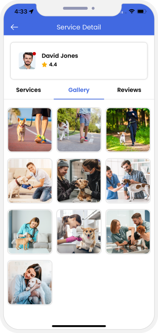 choose sub categories