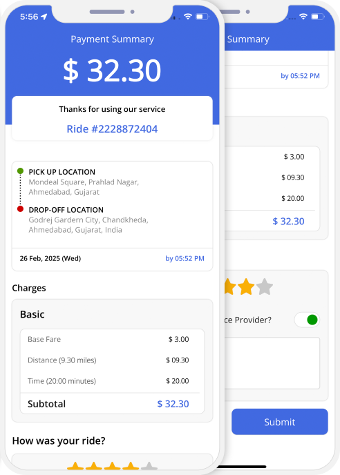 invoice summary