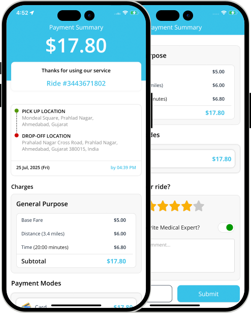 invoice summary