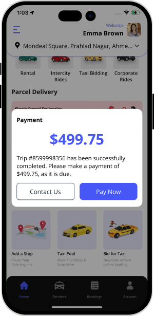 payment popup