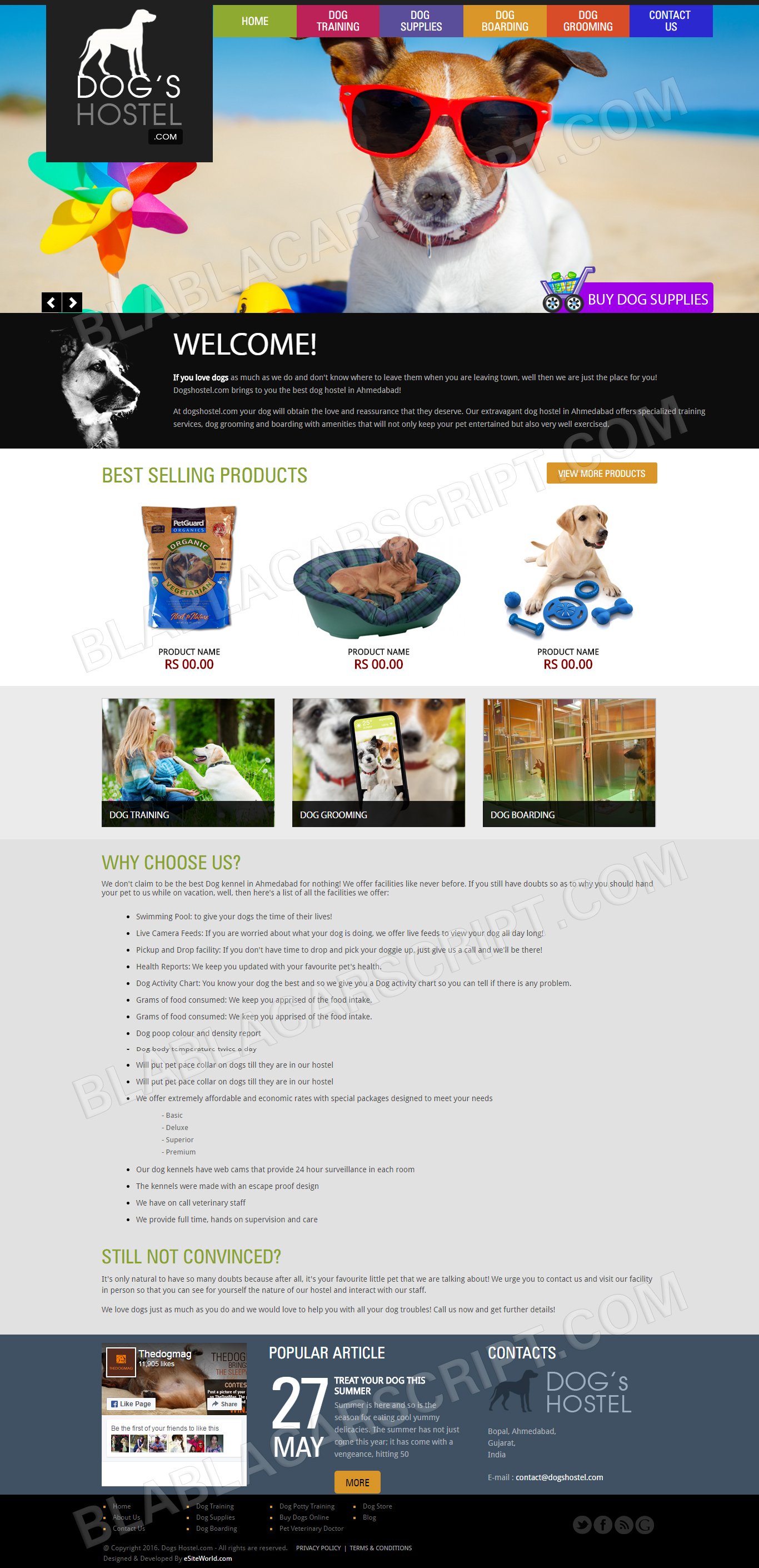 Pet Grooming Business & Dogs Hostel Website Clone