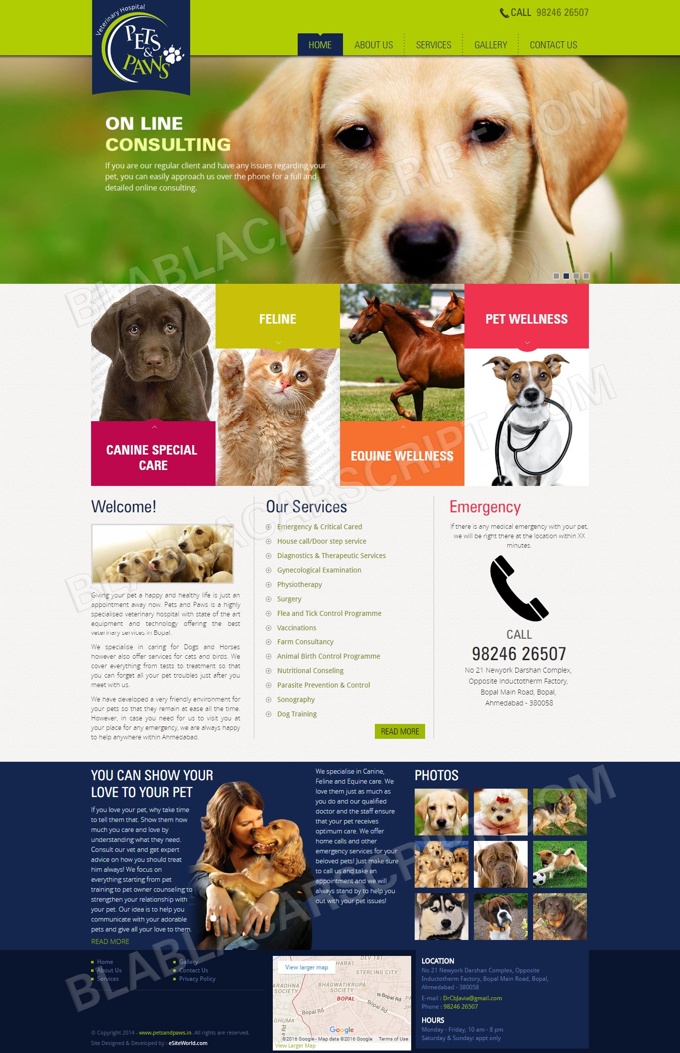 Veterinary Site Clone